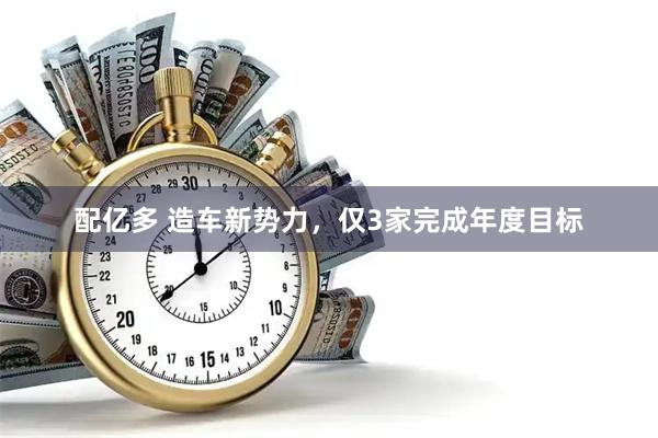 配亿多 造车新势力，仅3家完成年度目标