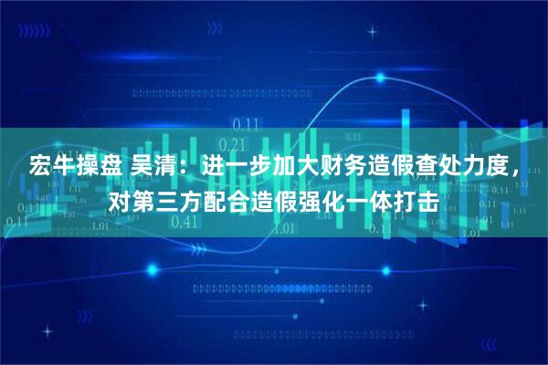 宏牛操盘 吴清:进一步加大财务造假查处力度,对第三方配合造假强化一体打击