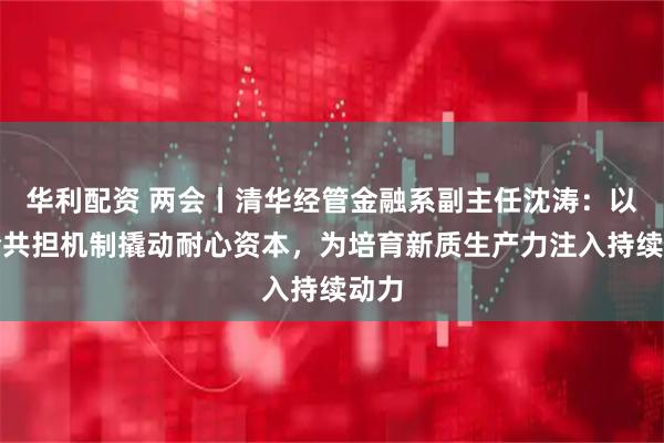 华利配资 两会丨清华经管金融系副主任沈涛：以风险共担机制撬动耐心资本，为培育新质生产力注入持续动力