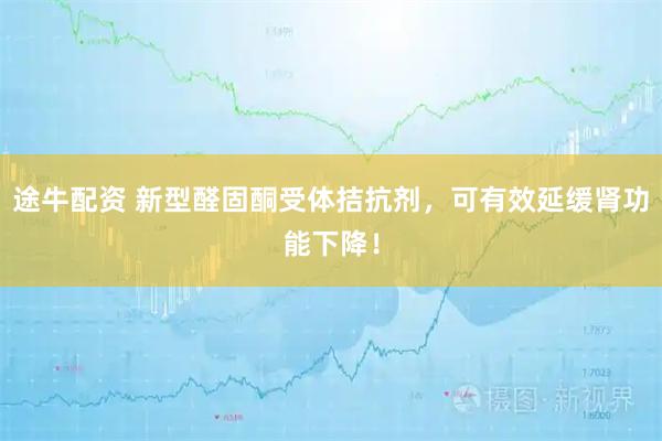 途牛配资 新型醛固酮受体拮抗剂，可有效延缓肾功能下降！