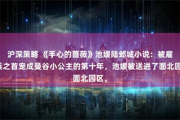 沪深策略 《手心的蔷薇》池媛陆邺城小说：被雇佣兵之首宠成曼谷小公主的第十年，池媛被送进了面北园区。