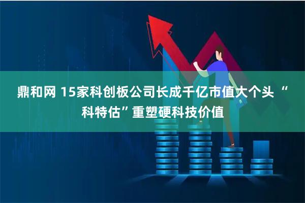 鼎和网 15家科创板公司长成千亿市值大个头 “科特估”重塑硬科技价值