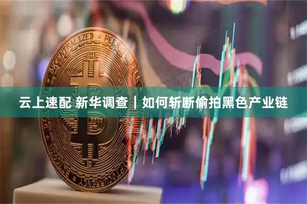 云上速配 新华调查｜如何斩断偷拍黑色产业链