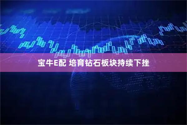 宝牛E配 培育钻石板块持续下挫